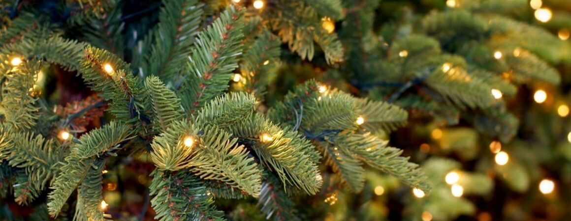 De 20 Beste Afbeeldingen Van Versierde Kerstbomen In 2020 Versierde Kerstbomen Kerstballen Kerstboom