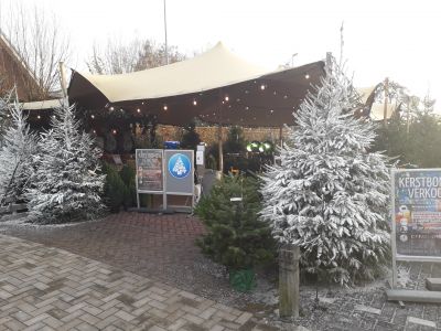 Kerstbomen bij Tuindorado