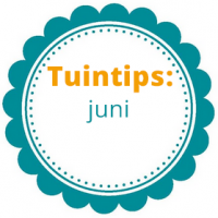 Tuintips Juni