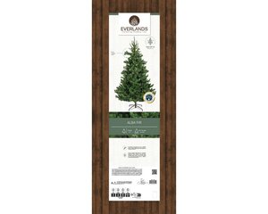 Alba fir dia116-H180cm groen - afbeelding 2