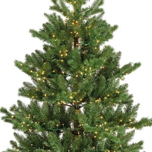 Alba fir prelit dia116-H180cm-1700L groen/warm wit - afbeelding 3