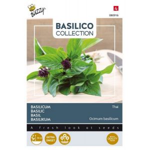 Buzzy® Basilicum Siam of Thai