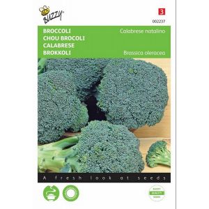 Buzzy® Broccoli Calabrese natalino, groen - afbeelding 1