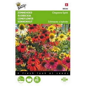 Buzzy® Echinacea, Zonnehoed Cheyenne Spirit - afbeelding 1