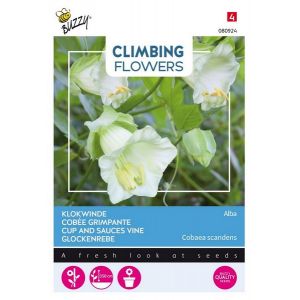 Buzzy® Flowering Climbers Cobaea Alba Wit - afbeelding 1