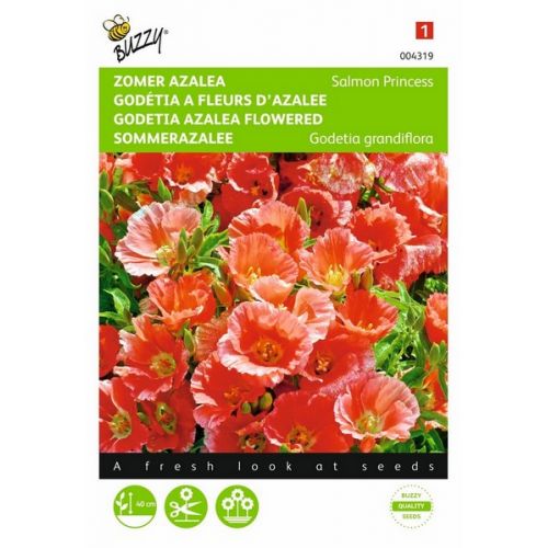 Buzzy® Godetia, Zomer Azalea Salmon Princess - afbeelding 1