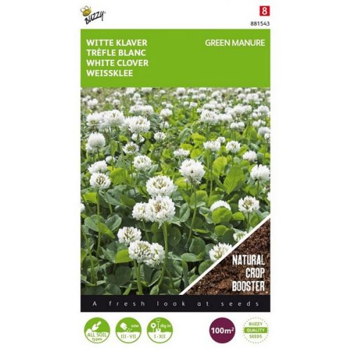 Buzzy® Groenbemester Witte Klaver 100 gram(8) - afbeelding 1