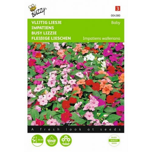 Buzzy® Impatiens, Vlijtig Liesje Baby gemengd - afbeelding 1