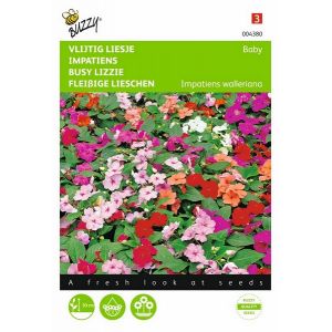 Buzzy® Impatiens, Vlijtig Liesje Baby gemengd - afbeelding 1