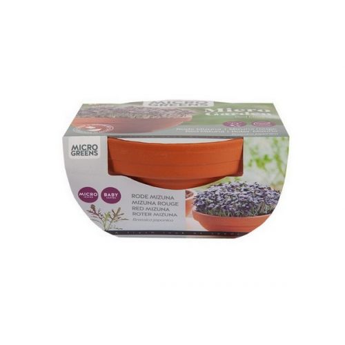 Buzzy® Microgreens Terra Schaaltje Rode Mizuna - afbeelding 3