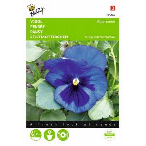 Buzzy® Viola, Viool Alpenmeer blauw - afbeelding 1