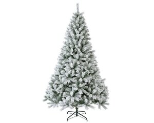 Canada boom spruce d150h240 grn/wit - afbeelding 1