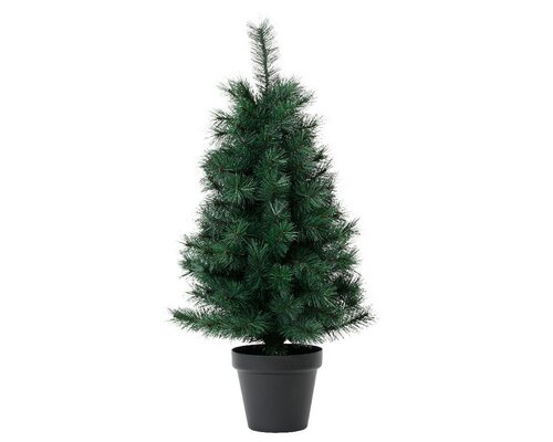 EVERLANDS Canada spruce dia43-H75cm groen