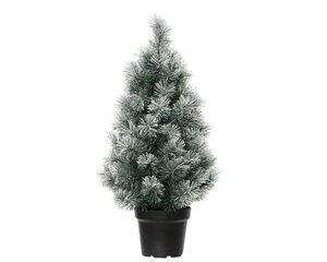 EVERLANDS Canada spruce frosted dia38-H60cm groen/wit