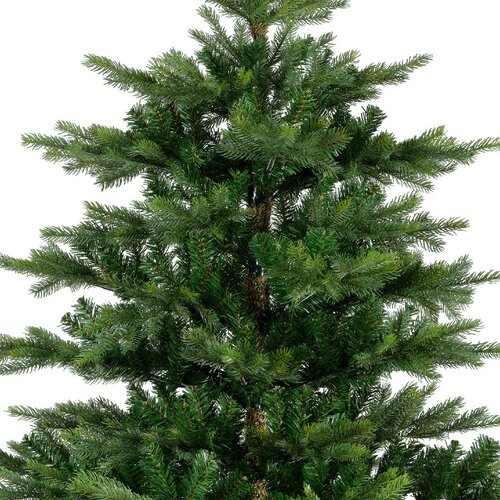 Everlands Grandis fir groen dia132-H180cm - afbeelding 3