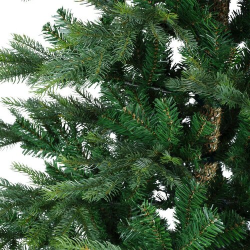 Everlands Grandis fir groen dia132-H180cm - afbeelding 7