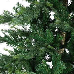 Everlands Grandis fir groen dia132-H180cm - afbeelding 7