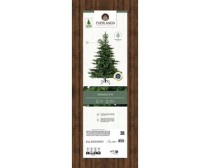 Everlands Grandis fir groen dia132-H180cm - afbeelding 2