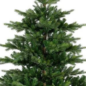 Everlands Grandis fir groen dia150-H210cm - afbeelding 3