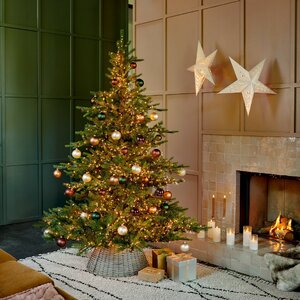 Everlands Grandis fir groen dia150-H210cm - afbeelding 6