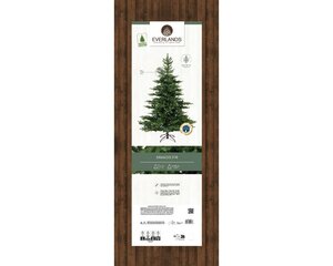 Everlands Grandis fir groen dia150-H210cm - afbeelding 2