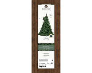 Everlands Imperial boom groen dia147-H240cm - afbeelding 2