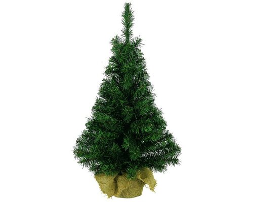 Everlands Imperial mini groen dia46-H90cm - afbeelding 1