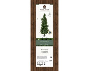 Killington boom fir d103h210cm grn - afbeelding 2