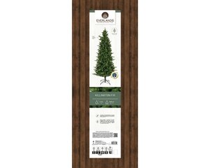 Killington boom fir d83h150cm grn - afbeelding 2