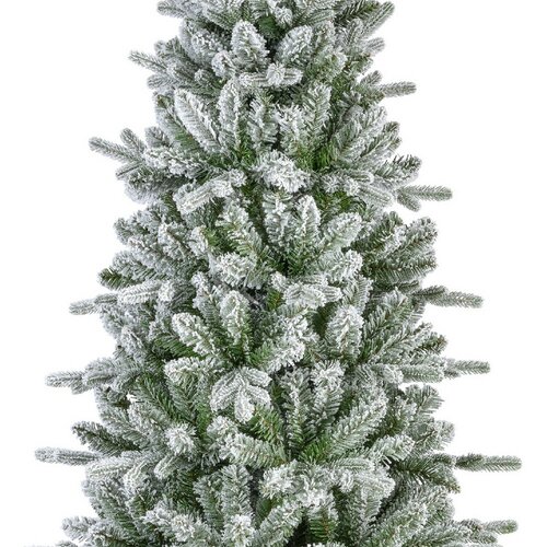 Killington boom fir d93h180 grn/wit - afbeelding 3