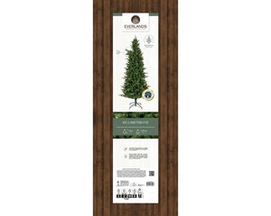 Killington boom fir d93h180cm grn - afbeelding 2