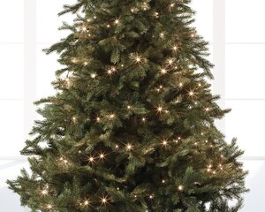 Lumineo tree lights led basic light zwart/warm wit 300cm-40L - afbeelding 3