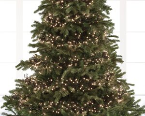 Lumineo tree lights led cluster lig zwart/warm wit 600cm-768 - afbeelding 3