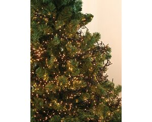 Lumineo tree lights led cluster lig zwart/warm wit 600cm-768 - afbeelding 7