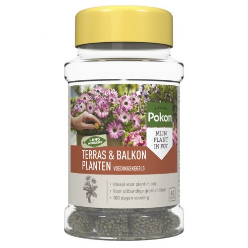Pokon Terras & Balkon Planten Langwerkende Voedingskegels - afbeelding 1