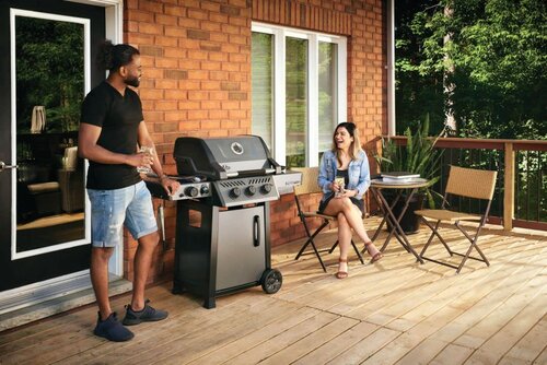 NAPOLEON GOURMET GRILLS Freestyle 365 sizzle zone en deur - afbeelding 4