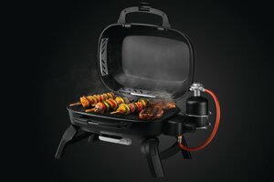 NAPOLEON GOURMET GRILLS Travelqa 240 gas - afbeelding 9