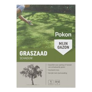Pokon Graszaad Schaduw