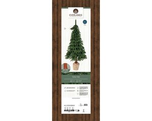 Tora pine dia120-H240cm groen - afbeelding 2